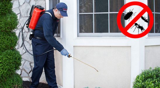 Palandöken Fare İlaçlama böcek ilaçlama ve haşere kontrolü — ilaclama-tr.com